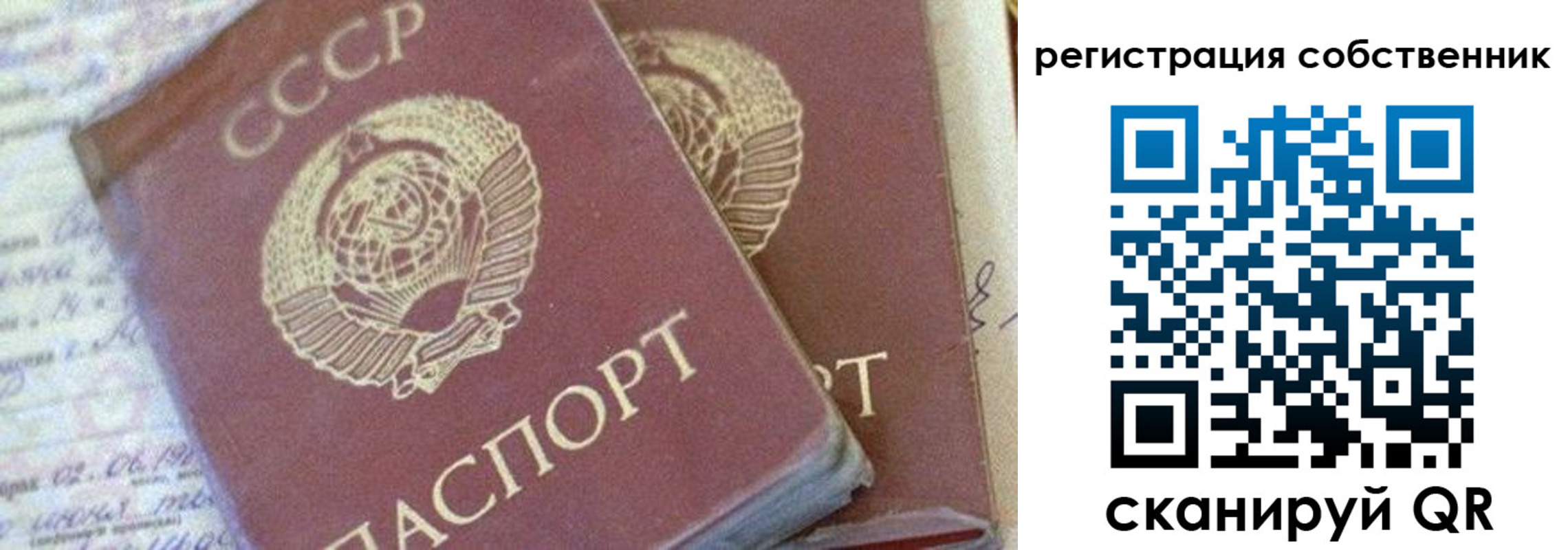 прописка штамп в Мурманске
